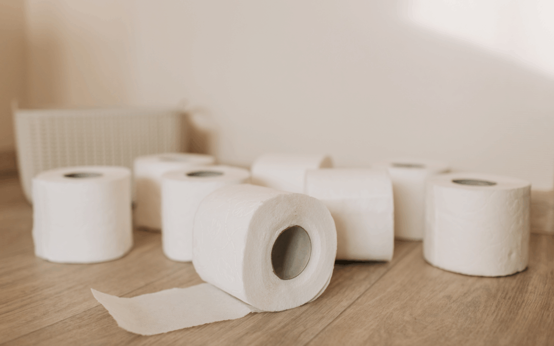 Toilet Rolls 48s